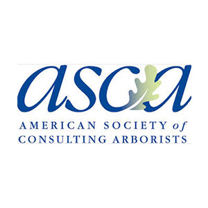 asca